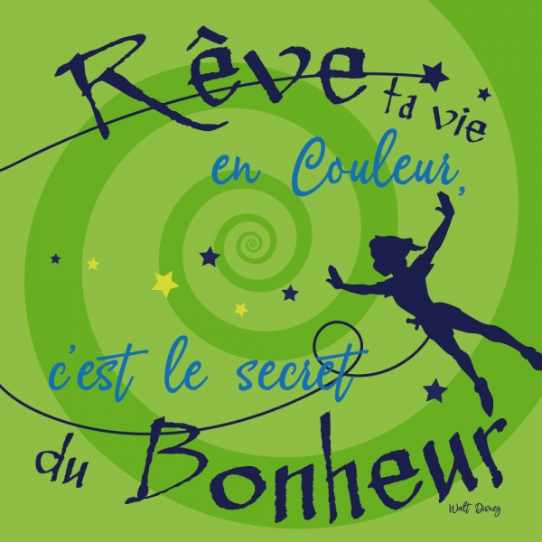 Rêve ta vie en couleurs - version 2