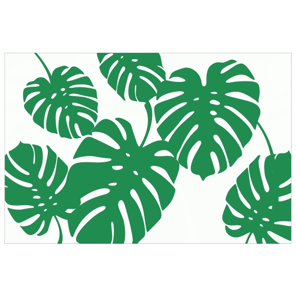 Deco Philodendron sur fond blanc