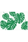 Deco Philodendron sur fond blanc